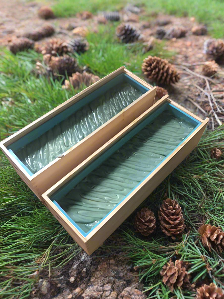 Mountain Pine