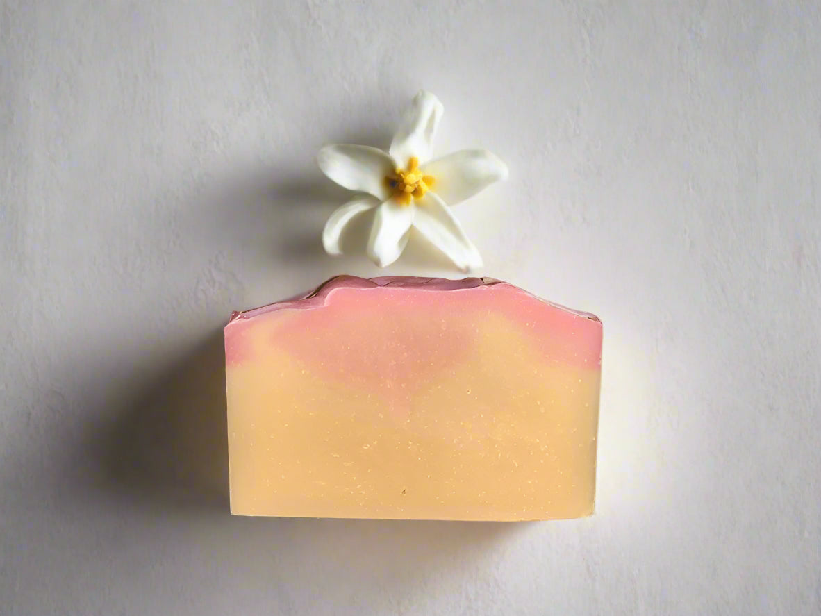 Pink Jasmine